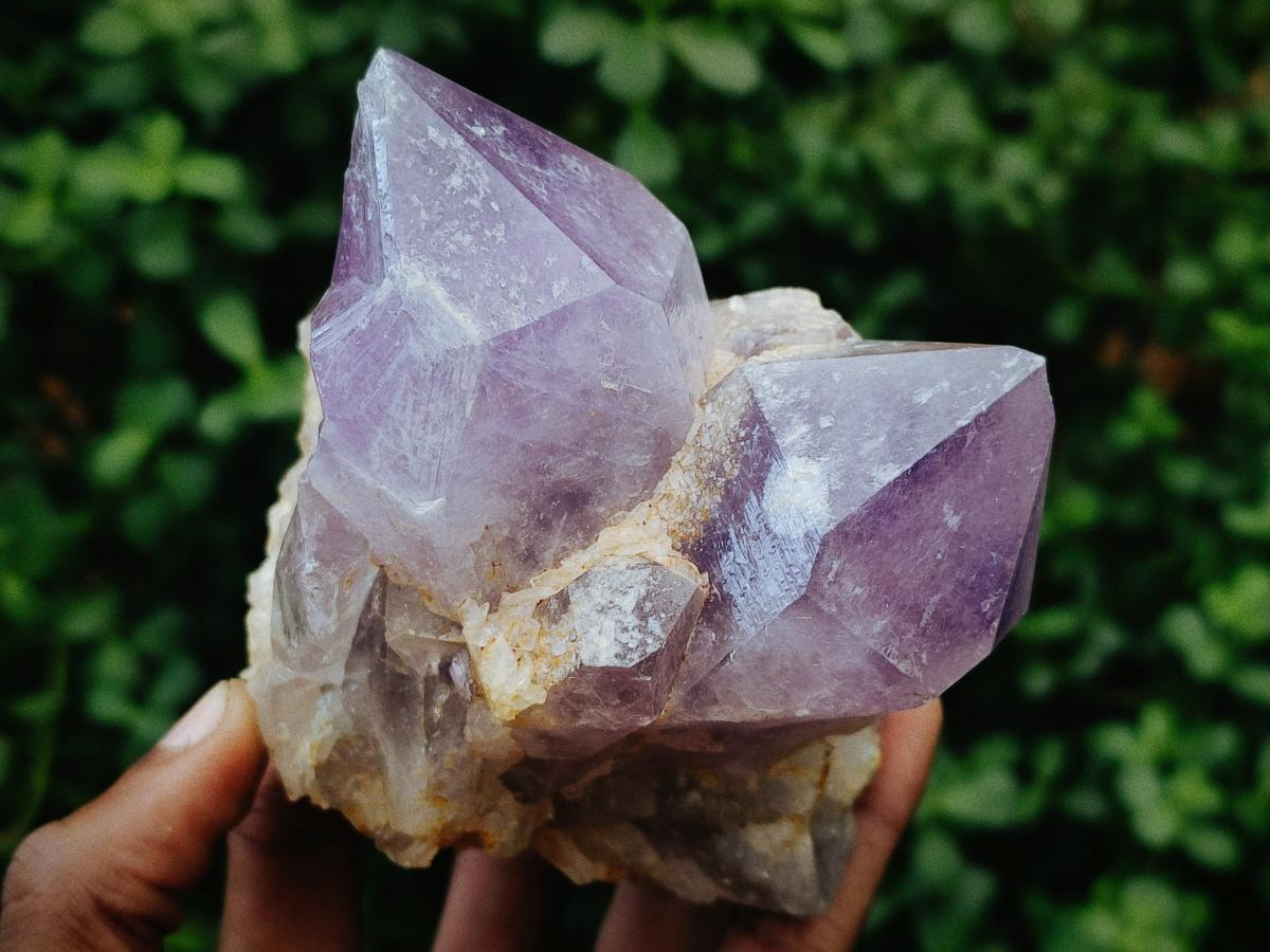 Natural Jacaranda Amethyst Crystals and Clusters x 6 From Mumbwa, Zambia - Toprock Gemstones and Minerals 