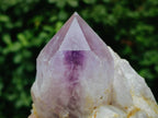 Natural Jacaranda Amethyst Crystals and Clusters x 6 From Mumbwa, Zambia - Toprock Gemstones and Minerals 