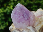 Natural Jacaranda Amethyst Crystals and Clusters x 6 From Mumbwa, Zambia - Toprock Gemstones and Minerals 