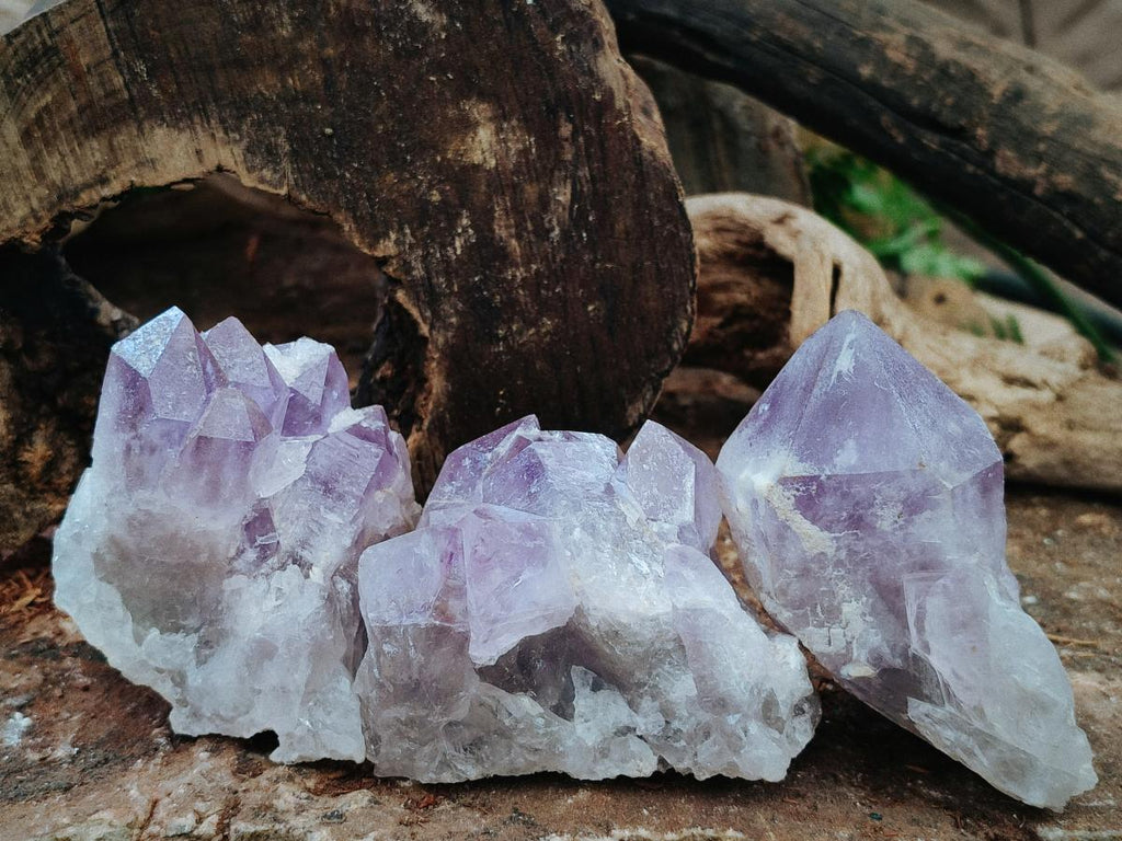 Natural Jacaranda Amethyst Crystals and Clusters x 6 From Mumbwa, Zambia - Toprock Gemstones and Minerals 
