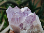 Natural Jacaranda Amethyst Crystals and Clusters x 6 From Mumbwa, Zambia - Toprock Gemstones and Minerals 