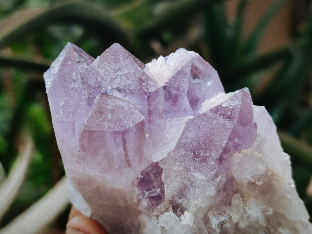 Natural Jacaranda Amethyst Crystals and Clusters x 6 From Mumbwa, Zambia - Toprock Gemstones and Minerals 