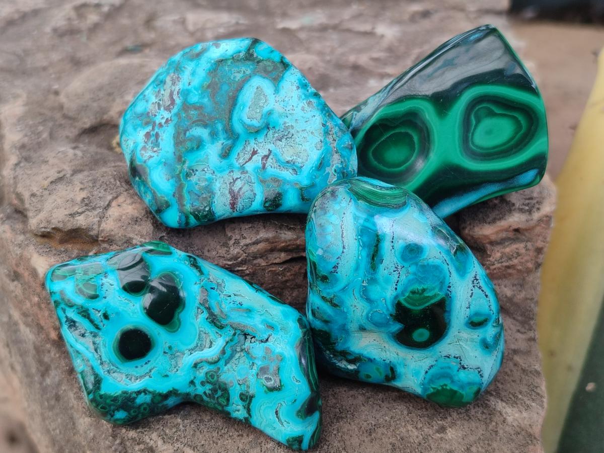 Polished Malacolla Free Forms x 12 From Kulukuluku, Congo - Toprock Gemstones and Minerals 