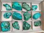 Polished Malacolla Free Forms x 12 From Kulukuluku, Congo - Toprock Gemstones and Minerals 