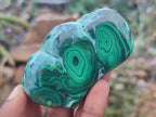 Polished Malacolla Free Forms x 12 From Kulukuluku, Congo - Toprock Gemstones and Minerals 