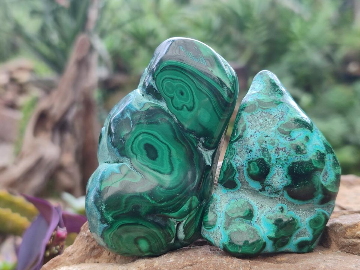 Polished Malacolla Free Forms x 12 From Kulukuluku, Congo - Toprock Gemstones and Minerals 