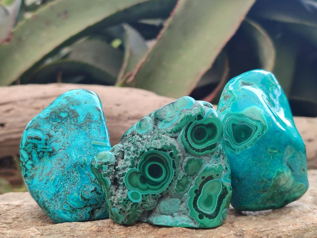 Polished Malacolla Free Forms x 12 From Kulukuluku, Congo - Toprock Gemstones and Minerals 