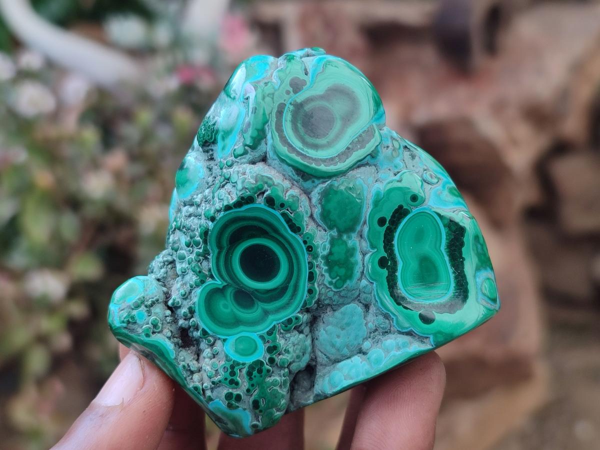 Polished Malacolla Free Forms x 12 From Kulukuluku, Congo - Toprock Gemstones and Minerals 
