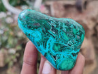 Polished Malacolla Free Forms x 12 From Kulukuluku, Congo - Toprock Gemstones and Minerals 