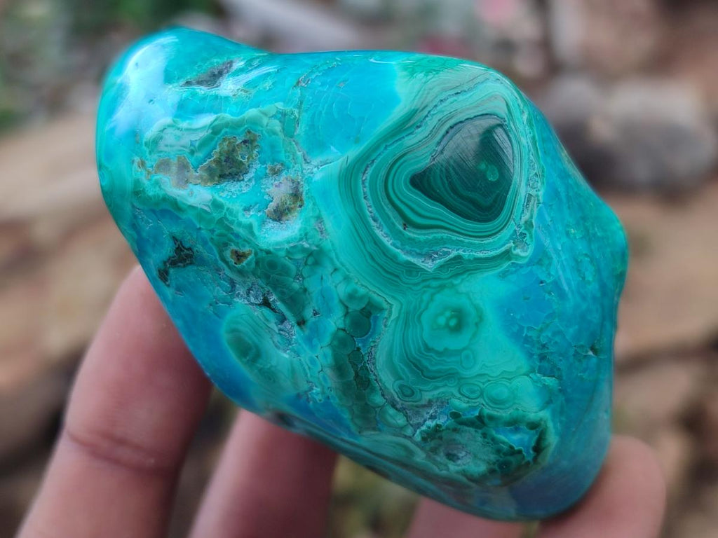 Polished Malacolla Free Forms x 12 From Kulukuluku, Congo - Toprock Gemstones and Minerals 