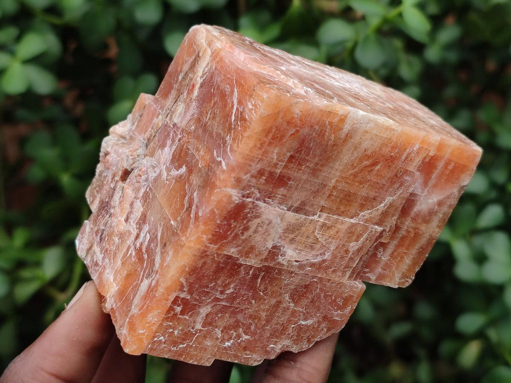 Natural Rhombohedral Sunset Orange Calcite Specimens x 6 From Spitzkop, Namibia - Toprock Gemstones and Minerals 