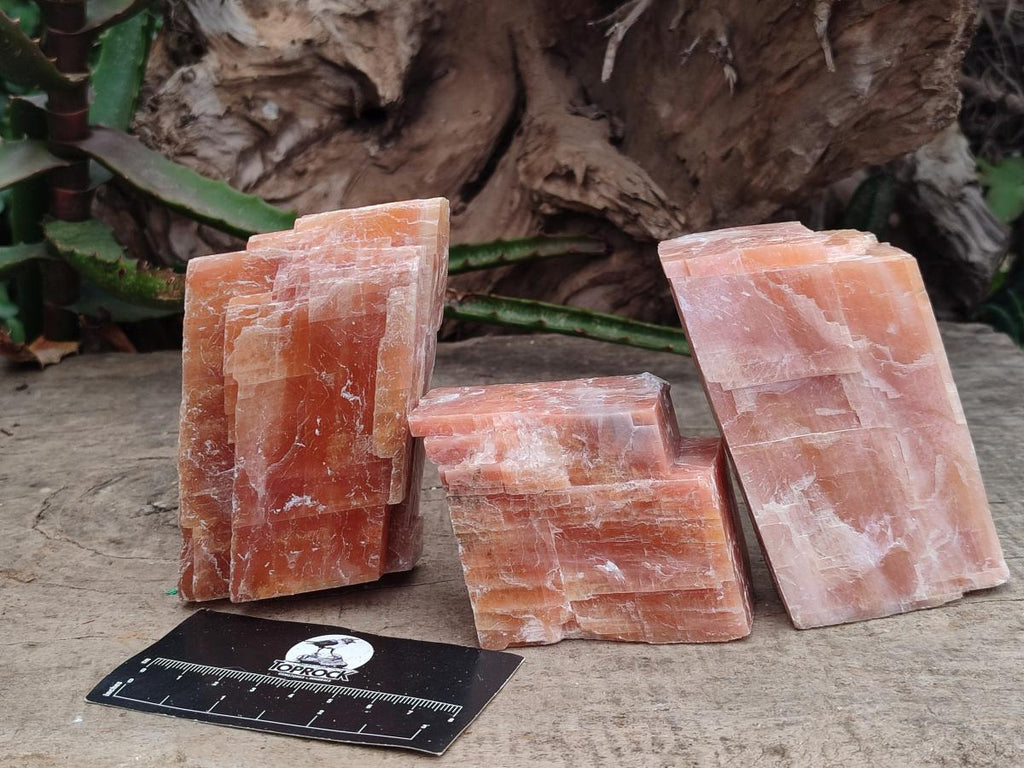 Natural Rhombohedral Sunset Orange Calcite Specimens x 6 From Spitzkop, Namibia - Toprock Gemstones and Minerals 
