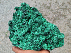 Natural XL Silky Malachite Specimen x 1 From Kasompe, Congo - Toprock Gemstones and Minerals 