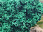 Natural XL Silky Malachite Specimen x 1 From Kasompe, Congo - Toprock Gemstones and Minerals 