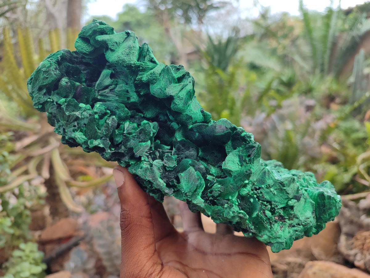 Natural XL Silky Malachite Specimen x 1 From Kasompe, Congo - Toprock Gemstones and Minerals 