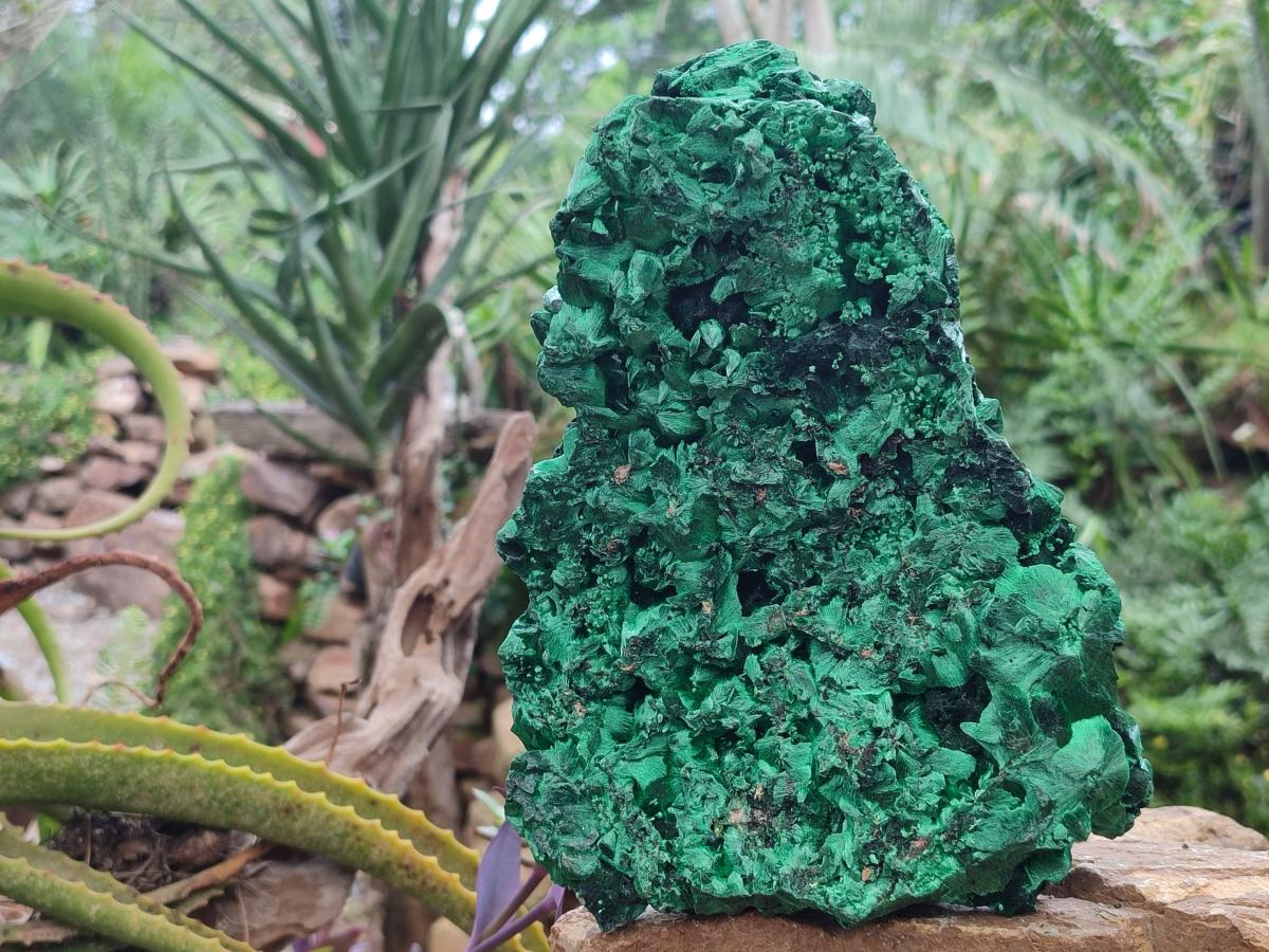 Natural XL Silky Malachite Specimen x 1 From Kasompe, Congo - Toprock Gemstones and Minerals 