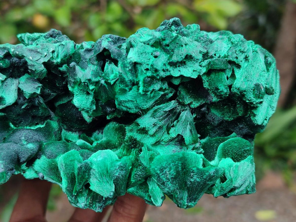 Natural XL Silky Malachite Specimen x 1 From Kasompe, Congo - Toprock Gemstones and Minerals 