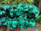 Natural XL Silky Malachite Specimen x 1 From Kasompe, Congo - Toprock Gemstones and Minerals 