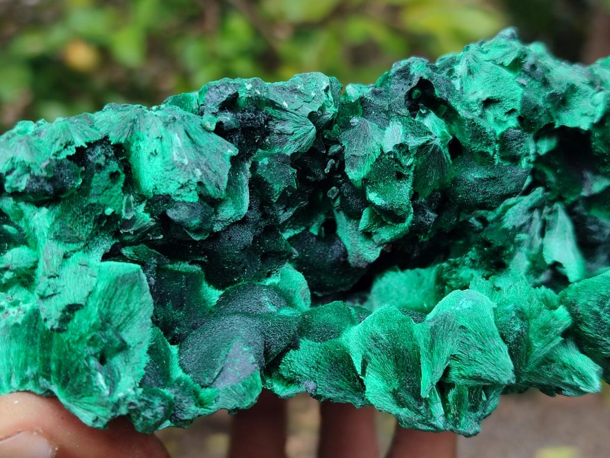 Natural XL Silky Malachite Specimen x 1 From Kasompe, Congo - Toprock Gemstones and Minerals 