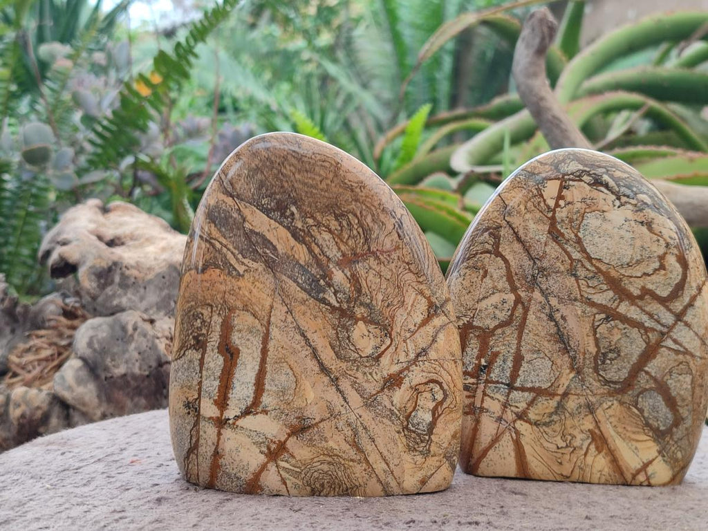 Polished Picture Stone Jasper Standing Display Pieces x 2 From Ais-Ais, Namibia - Toprock Gemstones and Minerals 