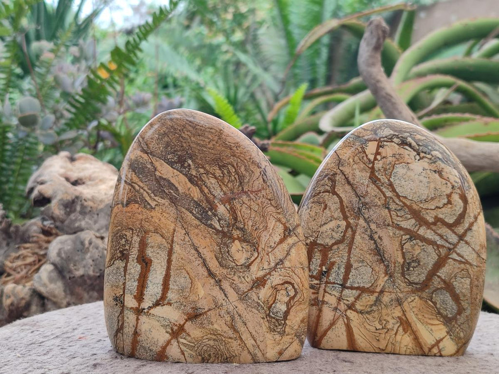 Polished Picture Stone Jasper Standing Display Pieces x 2 From Ais-Ais, Namibia - Toprock Gemstones and Minerals 