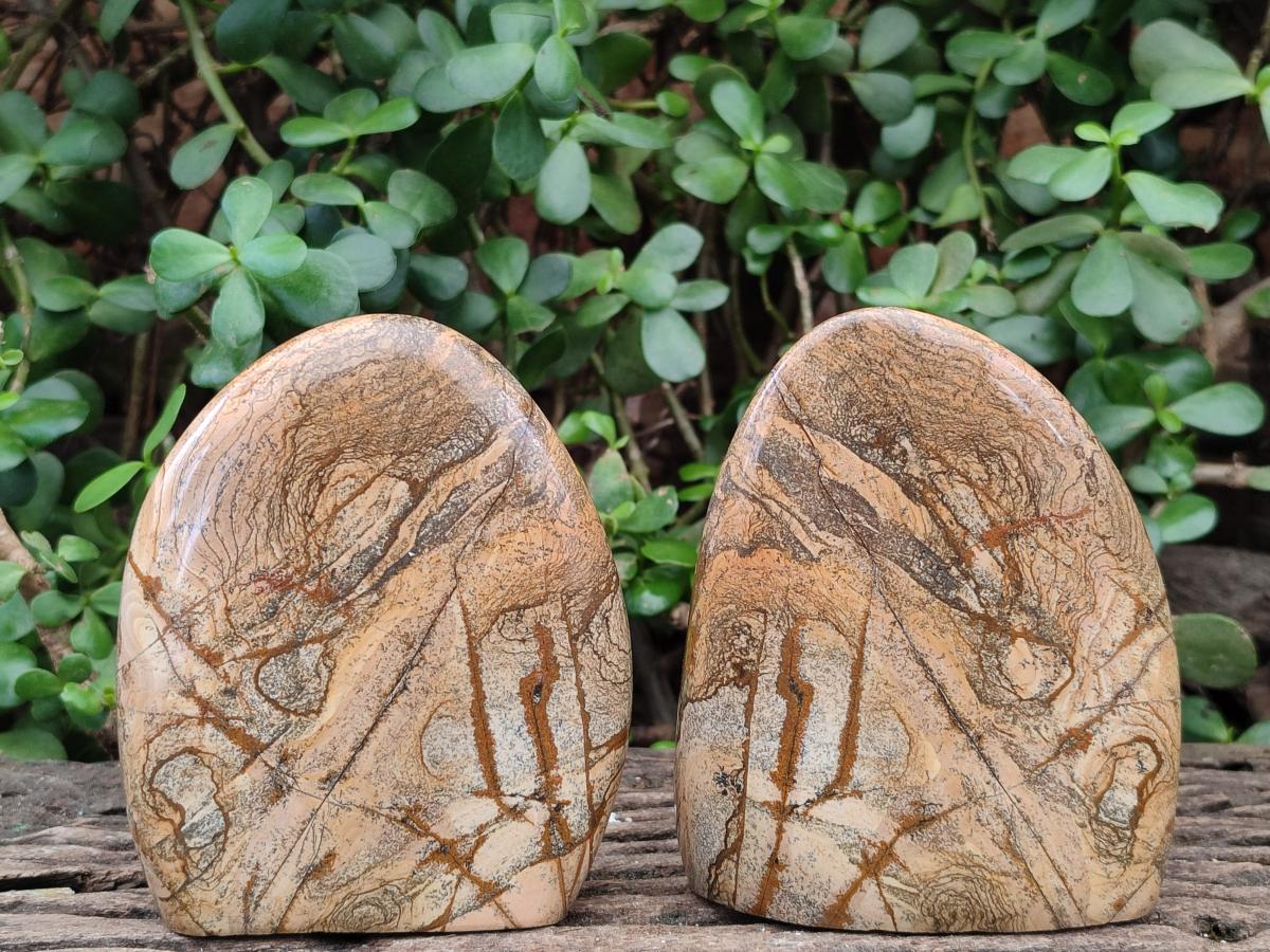 Polished Picture Stone Jasper Standing Display Pieces x 2 From Ais-Ais, Namibia - Toprock Gemstones and Minerals 