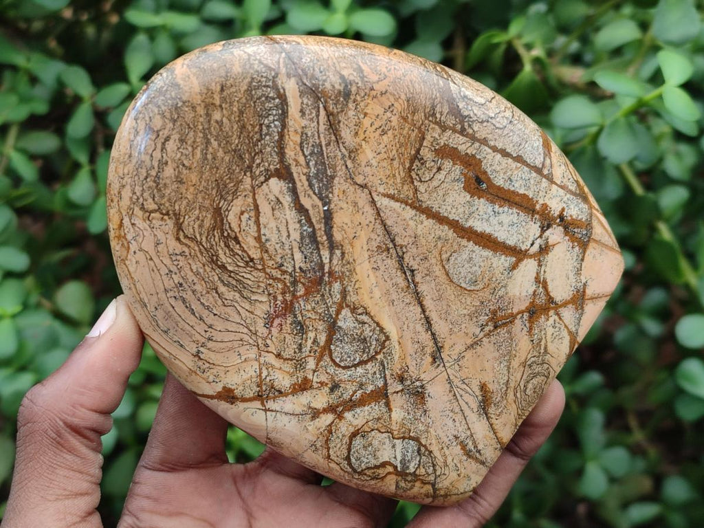 Polished Picture Stone Jasper Standing Display Pieces x 2 From Ais-Ais, Namibia - Toprock Gemstones and Minerals 
