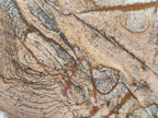 Polished Picture Stone Jasper Standing Display Pieces x 2 From Ais-Ais, Namibia - Toprock Gemstones and Minerals 