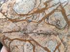 Polished Picture Stone Jasper Standing Display Pieces x 2 From Ais-Ais, Namibia - Toprock Gemstones and Minerals 