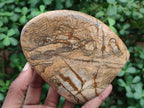 Polished Picture Stone Jasper Standing Display Pieces x 2 From Ais-Ais, Namibia - Toprock Gemstones and Minerals 