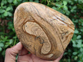 Polished Picture Stone Jasper Standing Display Pieces x 2 From Ais-Ais, Namibia - Toprock Gemstones and Minerals 