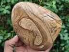 Polished Picture Stone Jasper Standing Display Pieces x 2 From Ais-Ais, Namibia - Toprock Gemstones and Minerals 