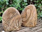 Polished Picture Stone Jasper Standing Display Pieces x 2 From Ais-Ais, Namibia - Toprock Gemstones and Minerals 