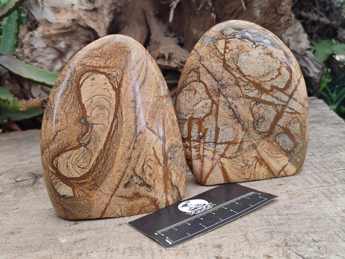 Polished Picture Stone Jasper Standing Display Pieces x 2 From Ais-Ais, Namibia - Toprock Gemstones and Minerals 