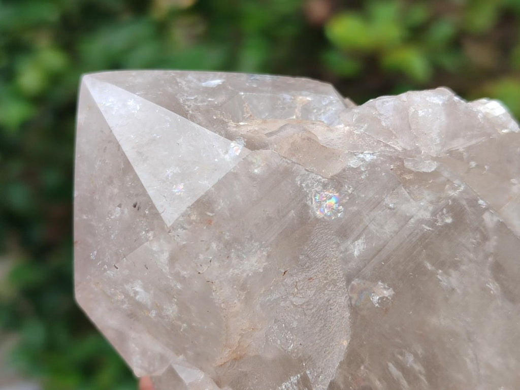 Polished On One Side Smokey Quartz Crystals x 2 From Angola - Toprock Gemstones and Minerals 