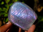 Polished Rare Purple Sunset Flash Labradorite Standing Display Pieces x 6 From Madagascar - Toprock Gemstones and Minerals 
