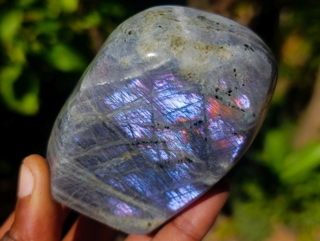 Polished Rare Purple Sunset Flash Labradorite Standing Display Pieces x 6 From Madagascar - Toprock Gemstones and Minerals 