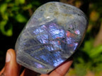 Polished Rare Purple Sunset Flash Labradorite Standing Display Pieces x 6 From Madagascar - Toprock Gemstones and Minerals 