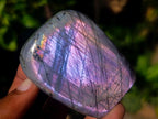 Polished Rare Purple Sunset Flash Labradorite Standing Display Pieces x 6 From Madagascar - Toprock Gemstones and Minerals 