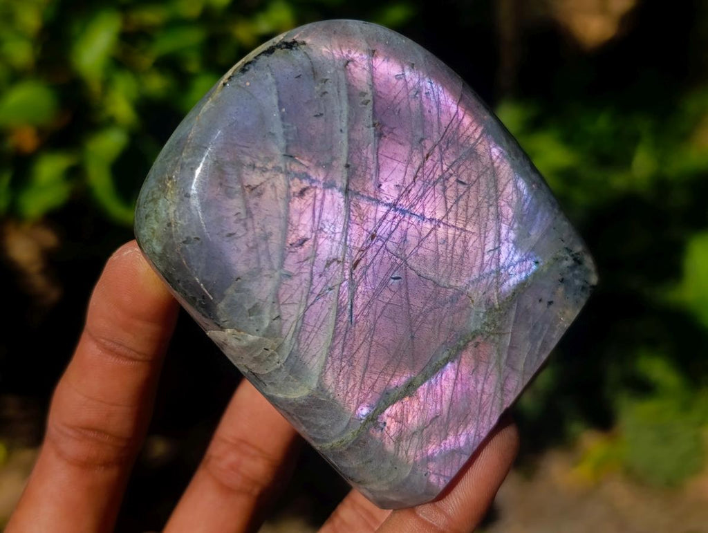 Polished Rare Purple Sunset Flash Labradorite Standing Display Pieces x 6 From Madagascar - Toprock Gemstones and Minerals 