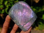 Polished Rare Purple Sunset Flash Labradorite Standing Display Pieces x 6 From Madagascar - Toprock Gemstones and Minerals 