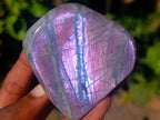 Polished Rare Purple Sunset Flash Labradorite Standing Display Pieces x 6 From Madagascar - Toprock Gemstones and Minerals 