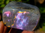 Polished Rare Purple Sunset Flash Labradorite Standing Display Pieces x 6 From Madagascar - Toprock Gemstones and Minerals 