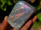 Polished Rare Purple Sunset Flash Labradorite Standing Display Pieces x 6 From Madagascar - Toprock Gemstones and Minerals 
