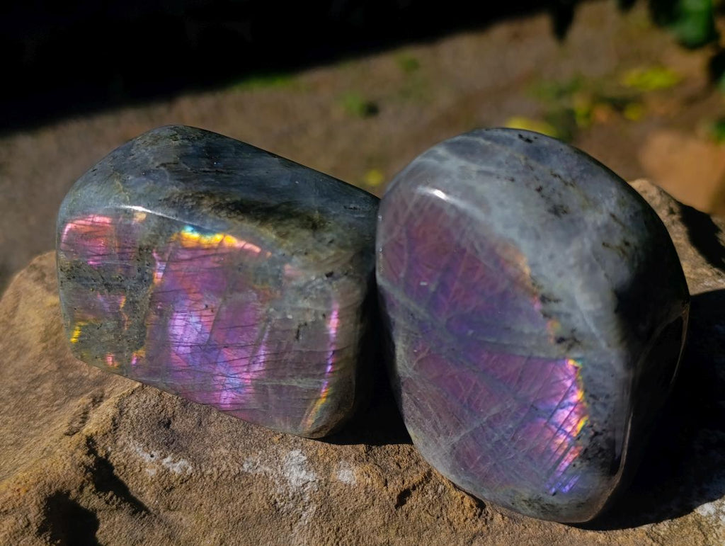 Polished Rare Purple Sunset Flash Labradorite Standing Display Pieces x 6 From Madagascar - Toprock Gemstones and Minerals 