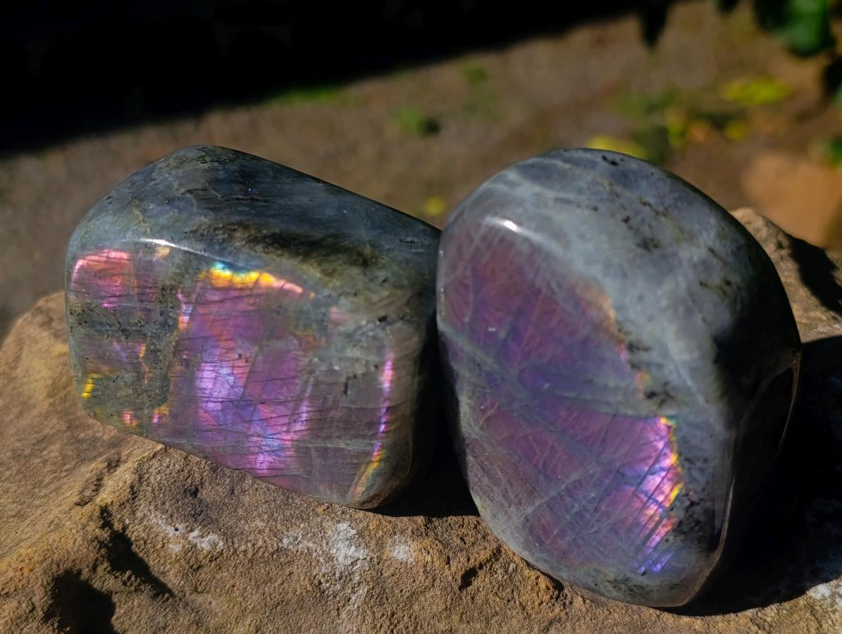 Polished Rare Purple Sunset Flash Labradorite Standing Display Pieces x 6 From Madagascar - Toprock Gemstones and Minerals 