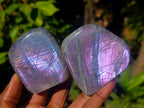 Polished Rare Purple Sunset Flash Labradorite Standing Display Pieces x 6 From Madagascar - Toprock Gemstones and Minerals 