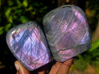 Polished Rare Purple Sunset Flash Labradorite Standing Display Pieces x 6 From Madagascar - Toprock Gemstones and Minerals 