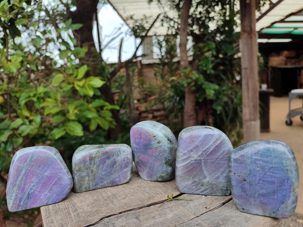 Polished Rare Purple Sunset Flash Labradorite Standing Display Pieces x 6 From Madagascar - Toprock Gemstones and Minerals 