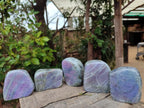 Polished Rare Purple Sunset Flash Labradorite Standing Display Pieces x 6 From Madagascar - Toprock Gemstones and Minerals 